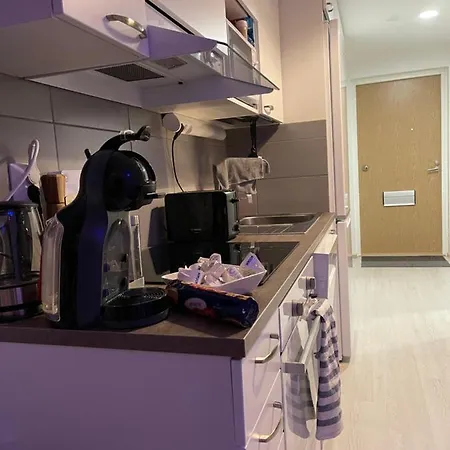 Arctic Penthouse Studio With Free Parking And High-Speed Wi-Fi Rovaniemi Exteriör bild