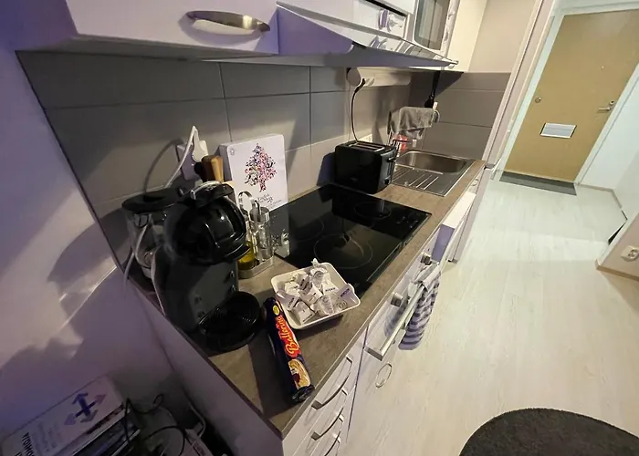 Arctic Penthouse Studio With Free Parking And High-Speed Wi-Fi