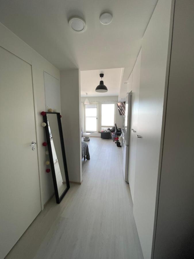 Arctic Penthouse With Free Parking And High-speed Wi-fi Rovaniemi