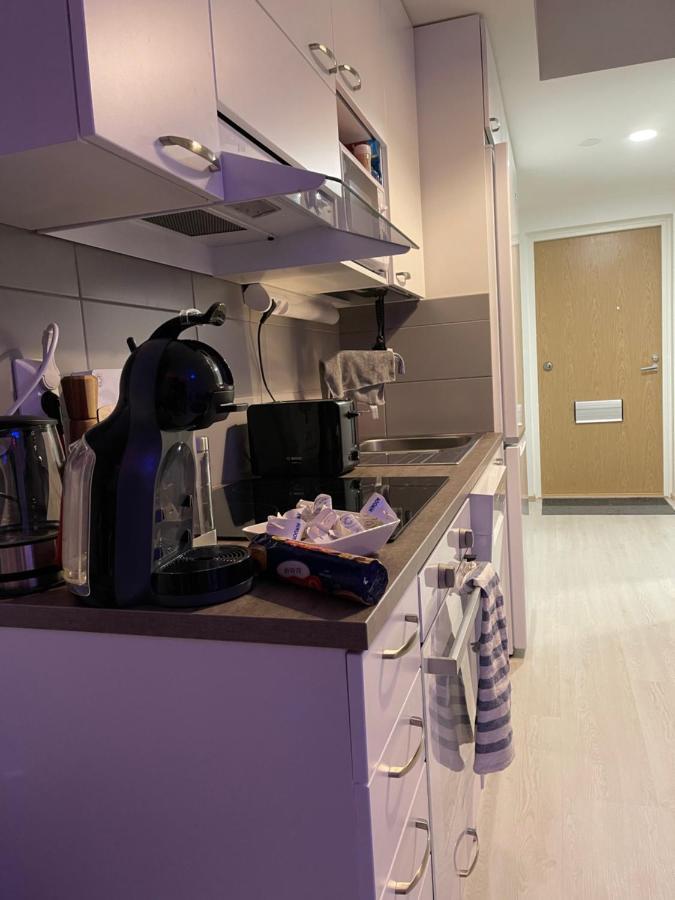 Arctic Penthouse With Free Parking And High-speed Wi-fi Rovaniemi
